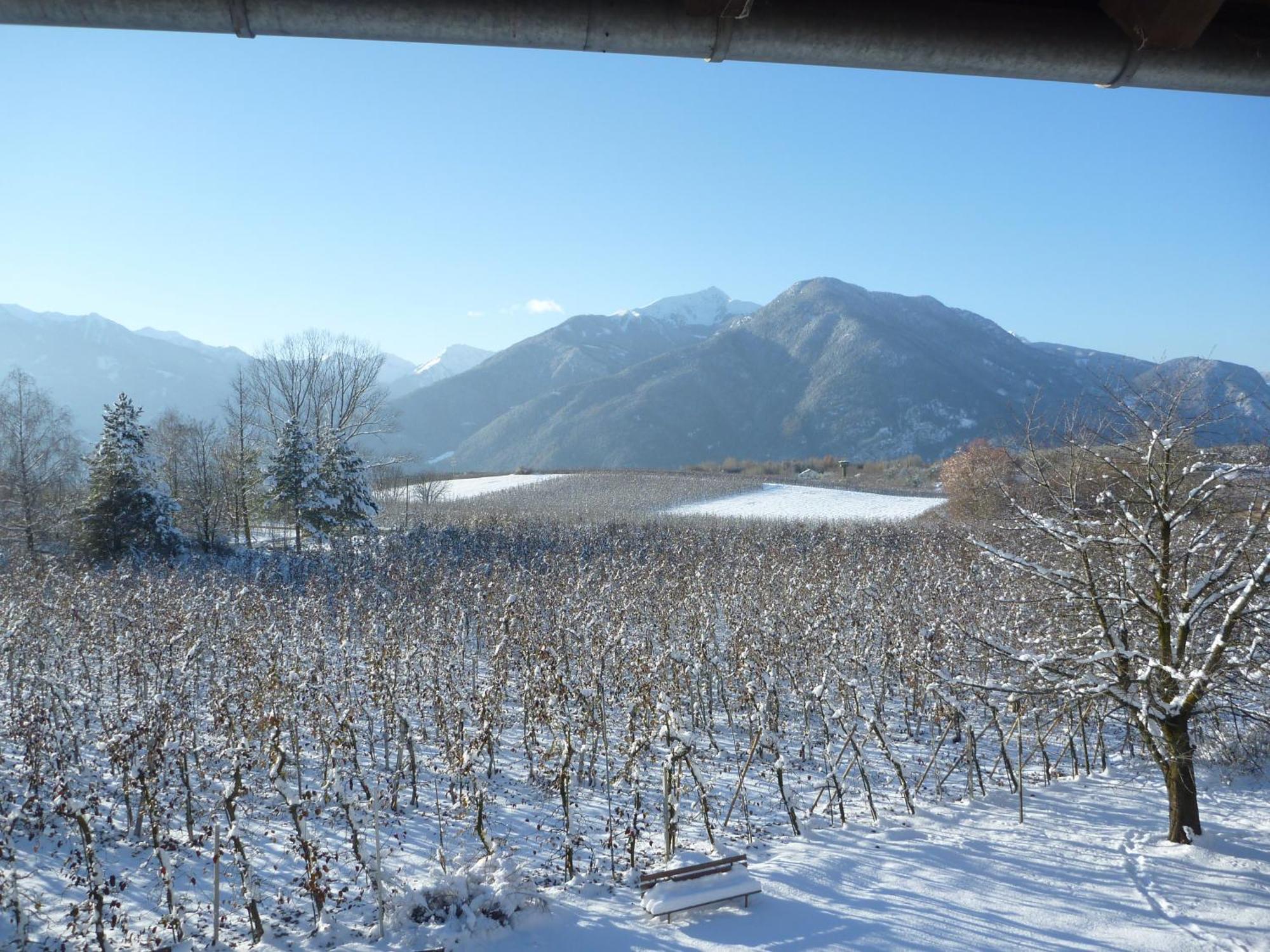 Kessler'S Mountain Lodge Natz-Schabs ภายนอก รูปภาพ